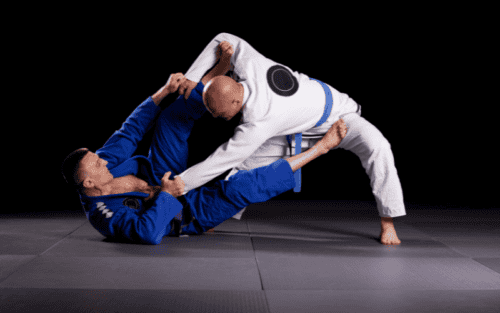 BJJ Gi Leichtgewicht Test: Die 11 besten (Bestenliste)