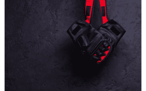 BJJ Handschuhe Test: Die 10 besten (Bestenliste)